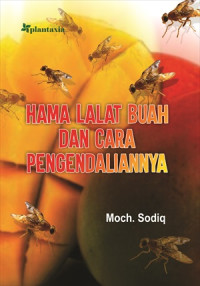 Image of Hama Lalat Buah dan Cara Pengendalian