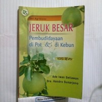 Jeruk Besar Pembudidayaan di Pot & di Kebun