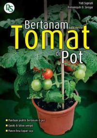 Bertanam Tomat Di pot